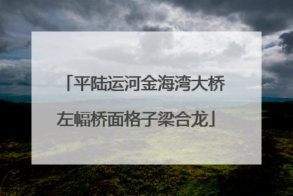 平陆运河金海湾大桥左幅桥面格子梁合龙